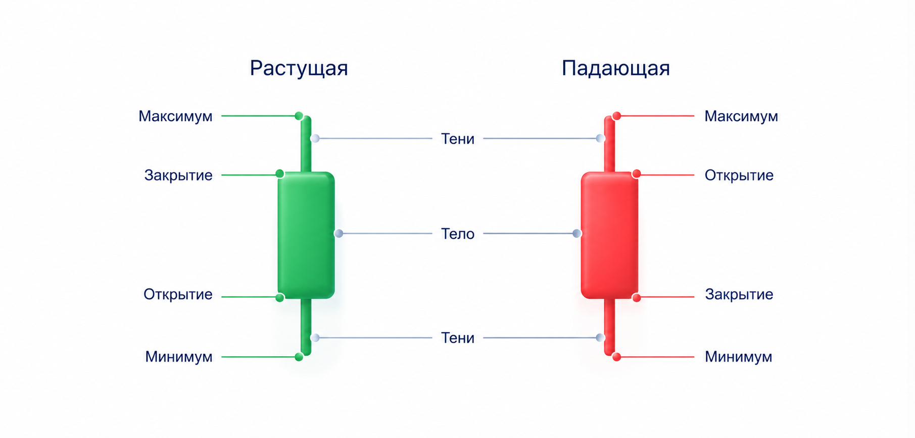 Тело, верхняя и нижняя тени растущей и падающей свечи: максимум, минимум, открытие и закрытие.