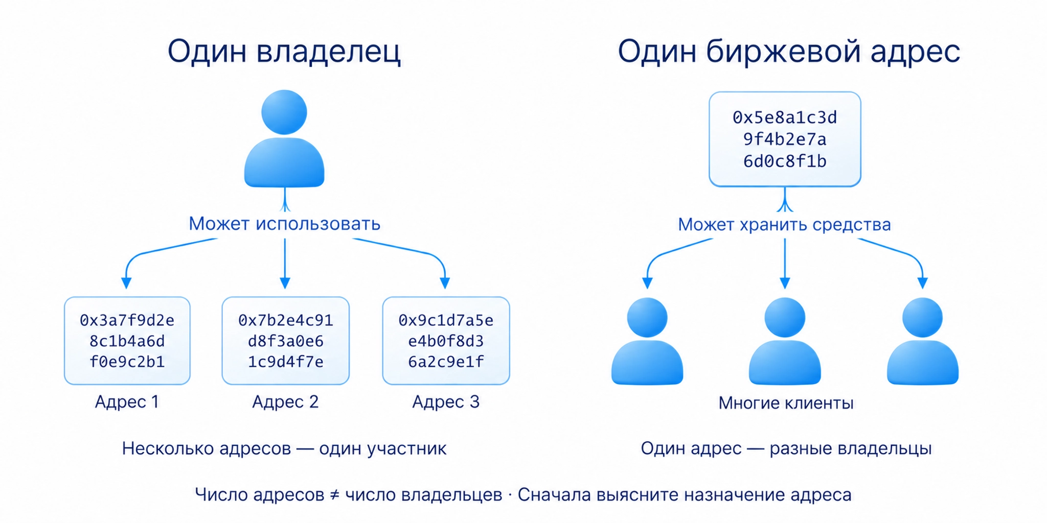 Один участник может пользоваться несколькими кошельками, а биржевой адрес — хранить средства многих клиентов; число адресов не равно числу владельцев