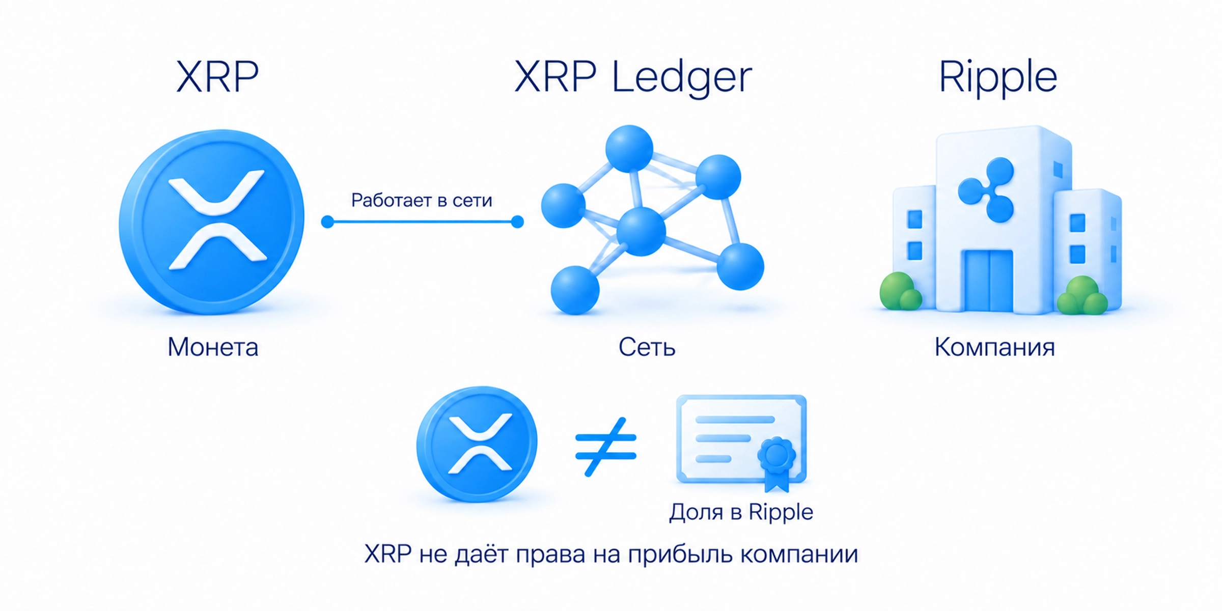 XRP — монета, XRP Ledger — сеть, Ripple — компания; покупка XRP не даёт доли в Ripple